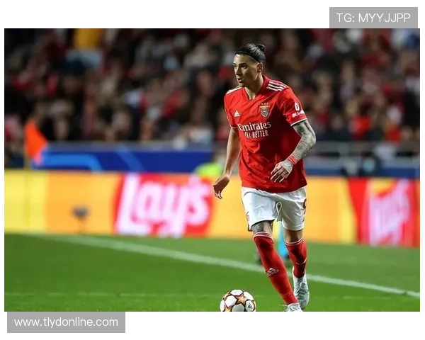 努涅斯本菲卡单赛季30+进球解析 努涅斯本菲卡单赛季30+进球解析