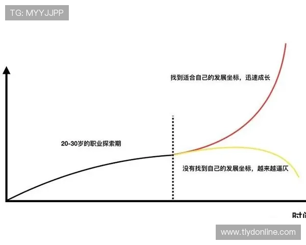 达姆斯高职业轨迹：从北西兰到布伦特福德的稳步成长