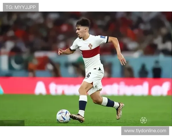 维蒂尼亚是否依赖体系？战术角色与自主创造能力分析